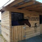 Sally's Ark Horse Boarding